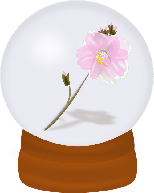 blossom decoration flower