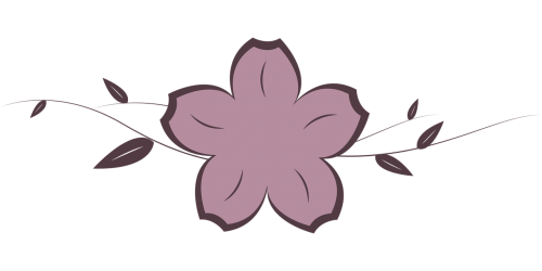 blossom bloom branch