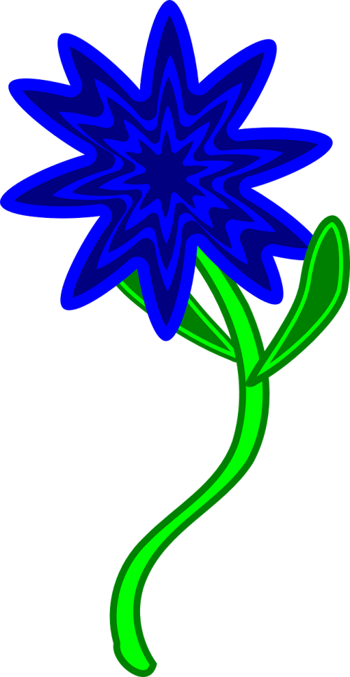 blue flower hippy