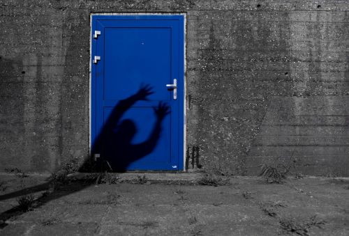 blue door shade