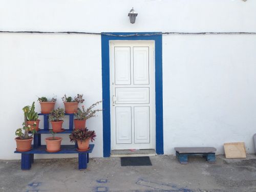 blue plants door