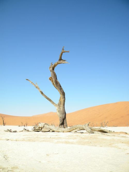 blue sky namibia