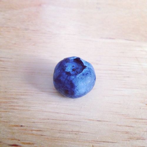 blue berry fruit
