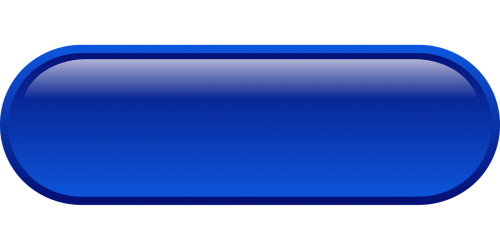blue button computer