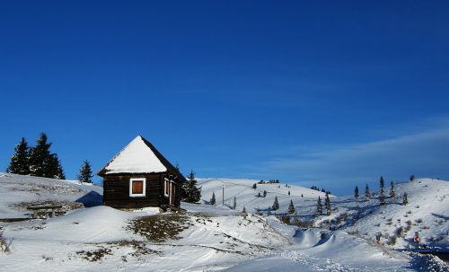 blue winter nature