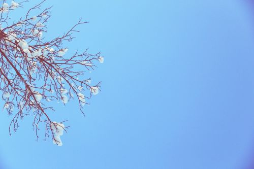 blue sky winter