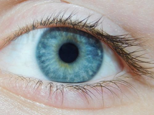 blue eye blue eyes