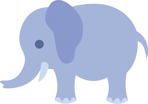 blue elephants baby