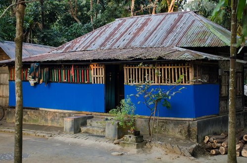 blue  house  trees