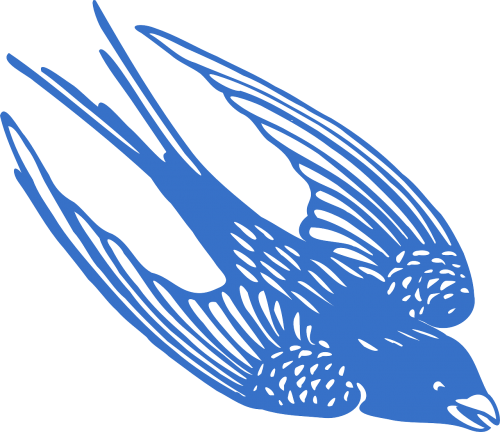 blue swallow animal