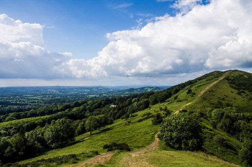 blue  sky  green