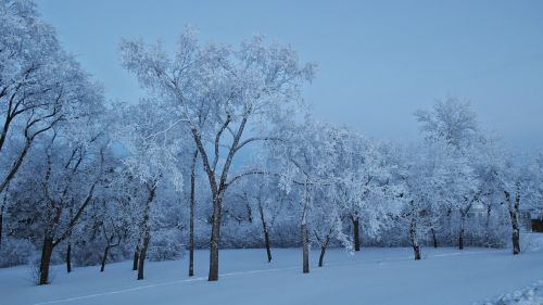 blue snow frost