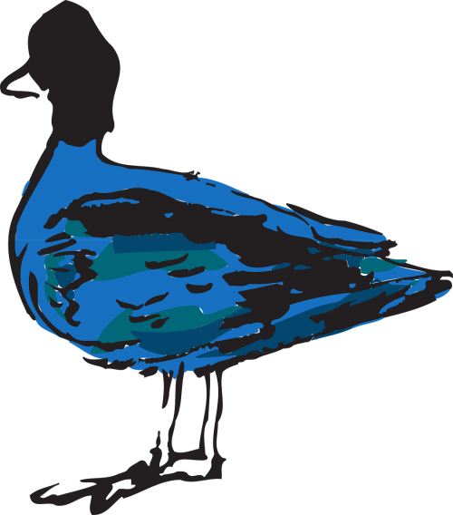 blue bird duck
