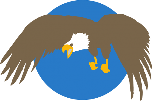 blue circle eagle