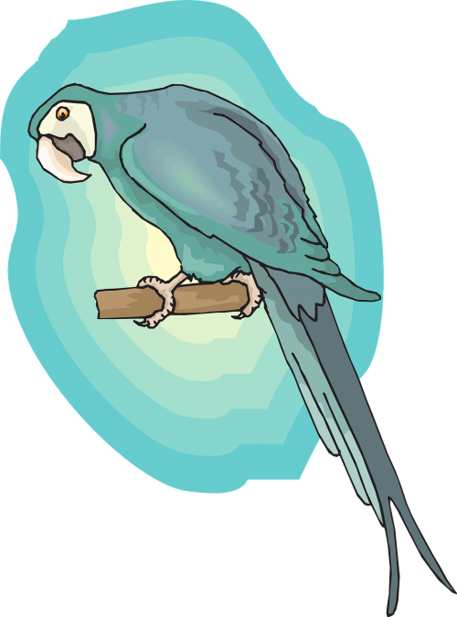 blue bird background