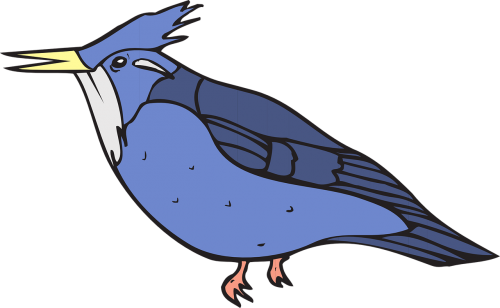 blue bird wings