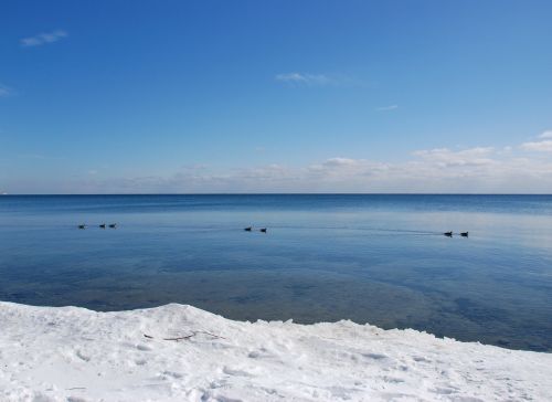 blue water horizon