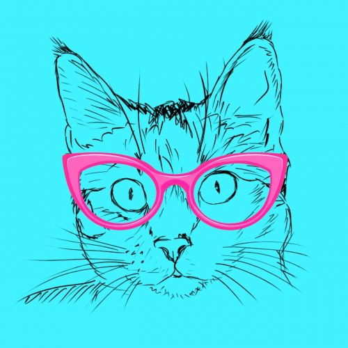 blue cat pink