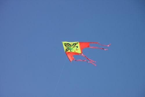 blue flying kite