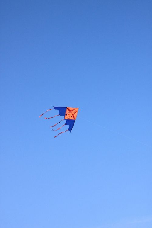 blue flying kite