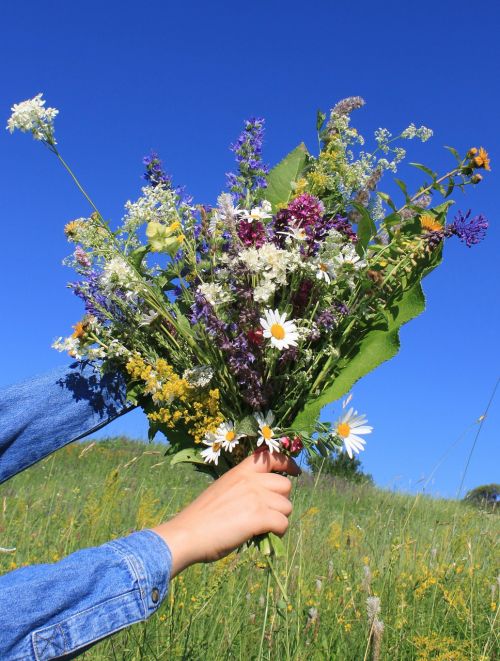 blue bouquet sky