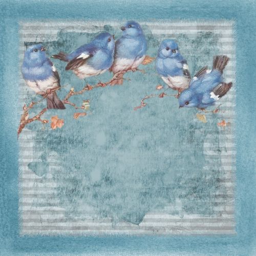 blue birds branch