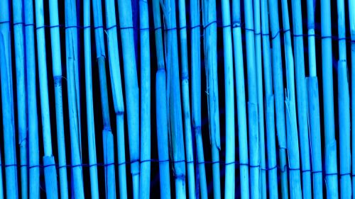 Blue Bamboo Wood Texture Background