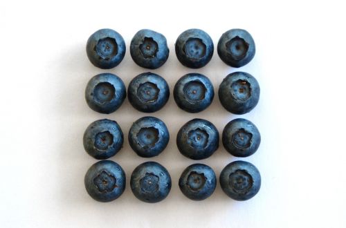blue berries blueberries rhythm
