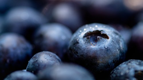 blue berries  berries  healthy