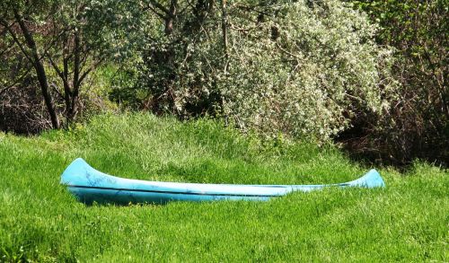 blue boat stranded nature