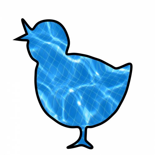 Blue Chick