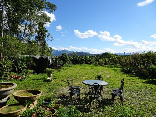 blue day casual garden