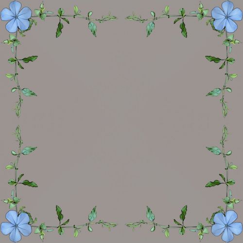 Blue Flower Frame