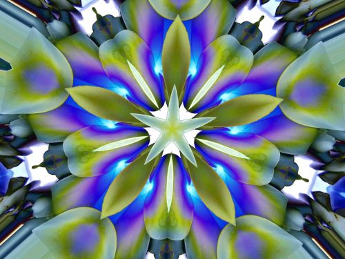 Blue Flower Kaleidoscope