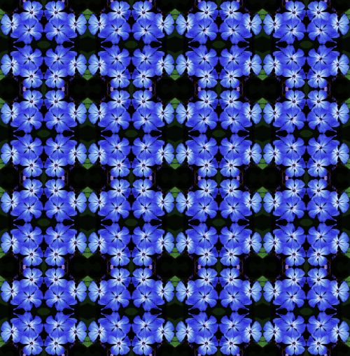 Blue Flower Wallpaper 2