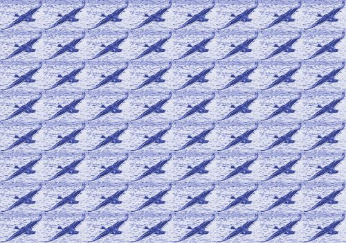 Blue Flying Duck Wallpaper 2