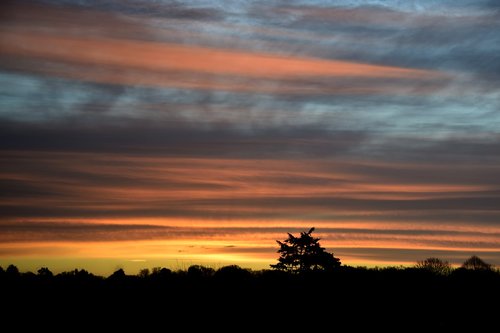 blue hour s  sunrise  sky