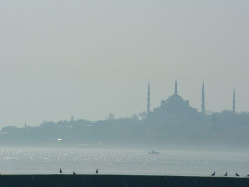 blue mosque view fog