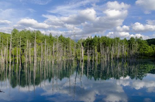 blue pond blue pond