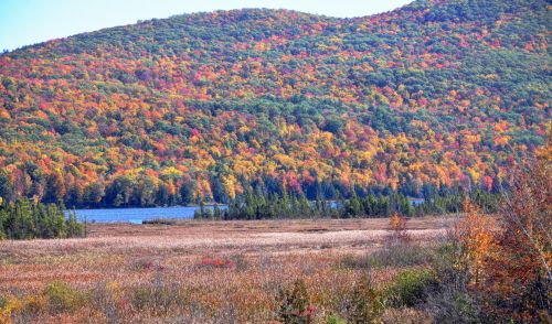 Blue River, Autumn Mountains