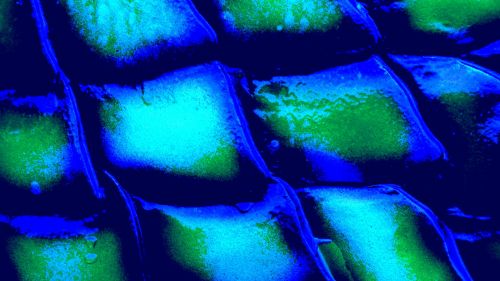 Blue Scales Pattern Background