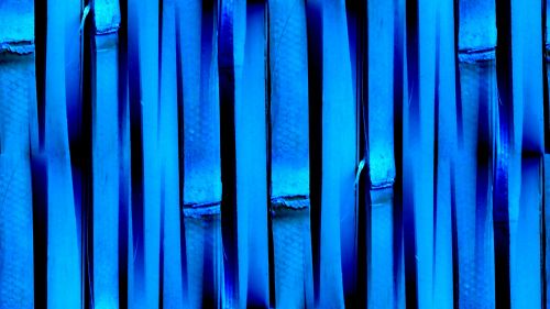 Blue Seamless Bamboo Background