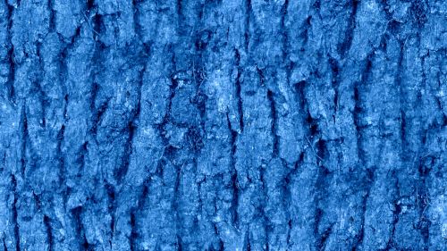 Blue Seamless Bark Background