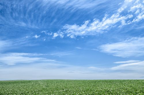 blue sky sky green