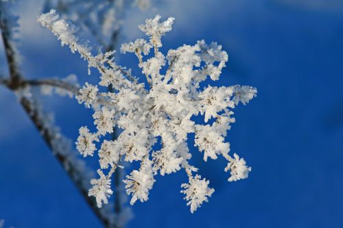 blue sky hoarfrost blue