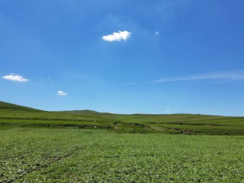 blue sky fresh air cloud