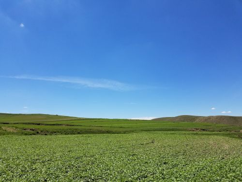 blue sky fresh air cloud