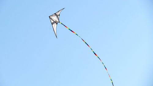 blue sky nature kite