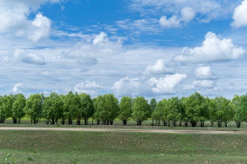 blue sky  white cloud  woods