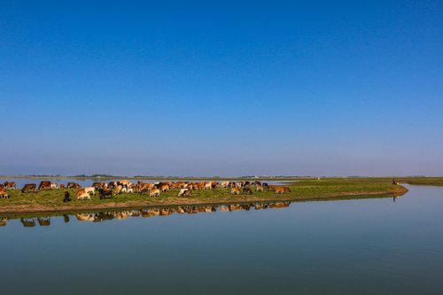 blue sky  lake  blue